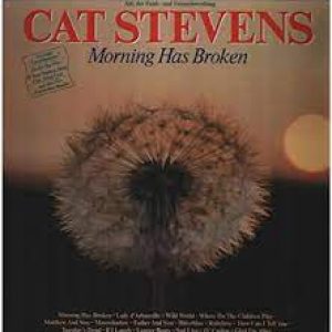CAtStev_Morn.jpg